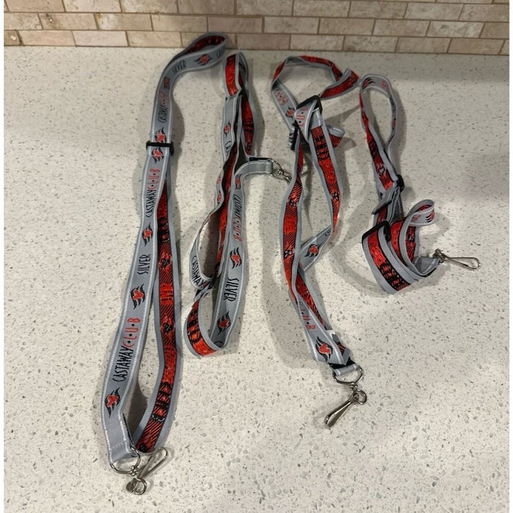 Disney Cruise Line Castaway Club Silver Member Lanyard bundle